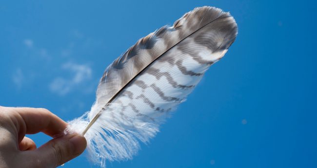 libera-mente-pensieri-inutili libera-mente-pensieri-inutili